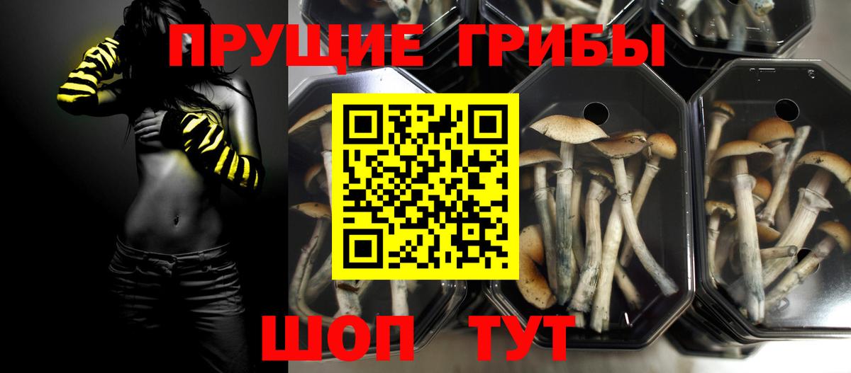 Галлюциногенные грибы ЛСД Обь